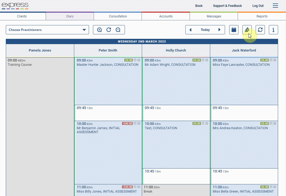 practitioner_view.gif